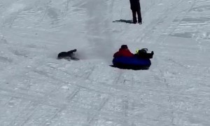 Kiddo Tries to Jump onto Tube