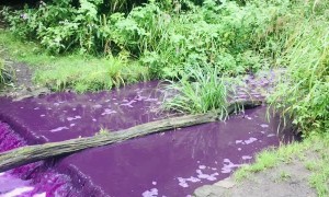Purple River Flowing in Scotland