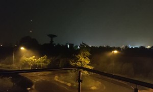 Wild Storm Snaps Centuries Old Tree