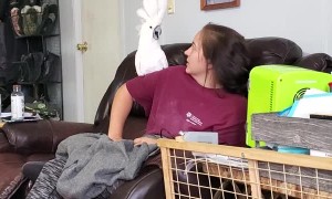 Girl Does Duet With With Cockatoo