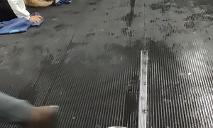 Kind Stranger Gives a Cold Dog His Wool Vest