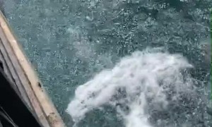 Diver Miscalculates into Back Flop