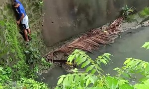 Two Young Heroes Save an Injured Mama Dog Stuck in a River