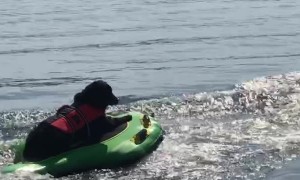 Doggy Delighted by Tubing Ride
