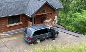 Clever Bear Looks for Lunch in Van