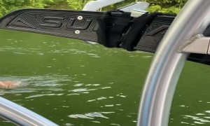 Kind Man Saves Exhausted Fawn in River