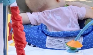 Bobo the Monkey Grooms Her Baby Best Friend