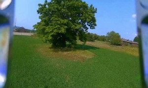 Hawk Swoops in on FPV Drone
