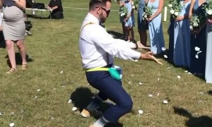 Flower Dude Delivers Amazing Performance