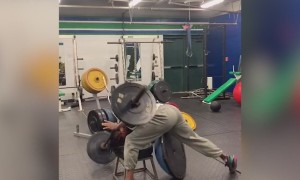 This Is Why I Don't Exercise