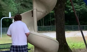 Chocolate Lab Has Ecstatic Time at Playground