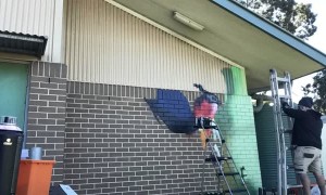 Artist Paints Beautiful Hyper-Realistic Rainbow Lorikeet Mural