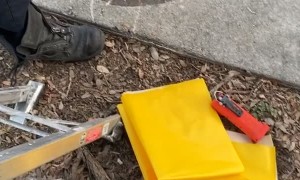 Fire Department Rescue Kitten From Storm Water Drain