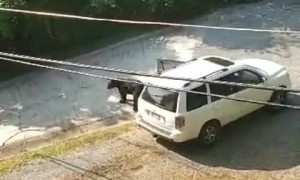 Bear in Gatlinburg Raids Car during Honeymoon