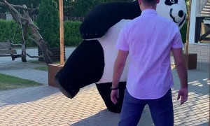 Dance Battle Between Panda And Guest
