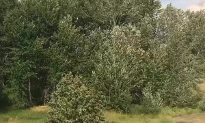 Bridger Foothills Fire Paints the Sky with Smoke