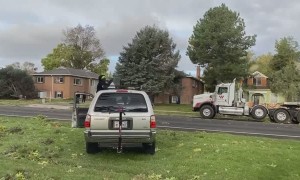 Strong Winds Knock Down Trees in Salt Lake City