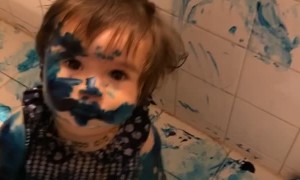 Troublesome Toddlers Make a Mess with Paint