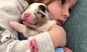 Little girl preciously holds her newborn puppy