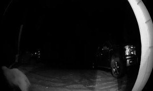 Bear Rings Doorbell During Late Night Visit