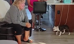 Best Reaction to Surprise Birthday Visit