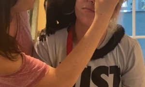 Monkey Helps With Makeover