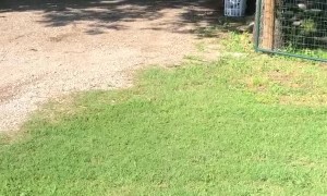 Smart Car Struggles to Back Boat of Driveway