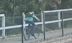 Magpie Seems Mad at Kid