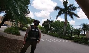 Police React to Man Filming Them at Traffic Stop