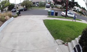 Amazing Tackle to Take Down Bulldog Escapee