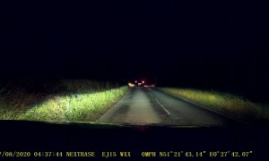 Early Morning Commuter Stops to Save a Badger from Getting Hit by Traffic