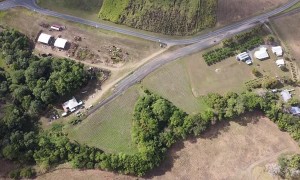 Eagle Ambushes Drone Joy Flight