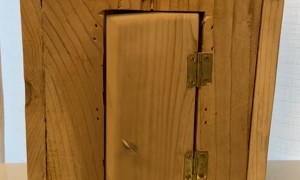 Squirrel Interrupted While Occupying Outhouse