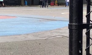 Tempers at Corner Store Get Out of Control