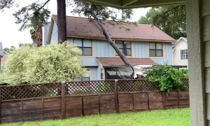 Tree Falls on House from Hurricane Sally