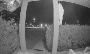 Buckled Chair Legs Sends Lady Into Bushes