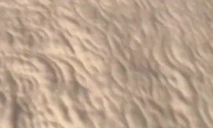 Monkey Jumps From Curtains to Give Kisses