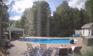 Bear wakes up man sleeping by the pool in his backyard