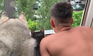 Three Friends Looking Out the Window