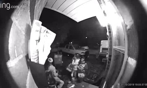 Kids Realize They are Busted Taking Handfuls of Halloween Candy