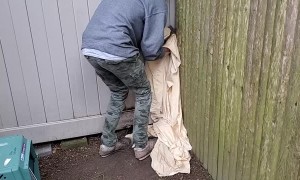 Man Rescues Raccoon that is Stuck Between Fences