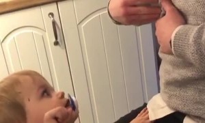 Kiddo Is a Better Dinosaur Than His Dad Expected