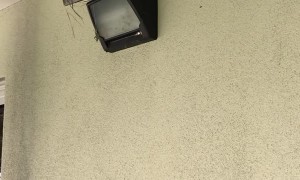 Lady Helps Bird Build Nest on Sloping Light