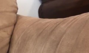 The Sound my Dog makes When He is Dreaming