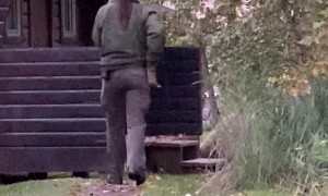 Famous Grizzly Bear and Cub Being Moved by Park Ranger