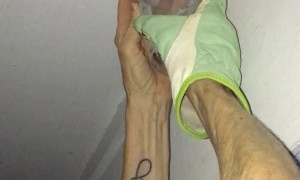 Safely Removing a Wasp Nest