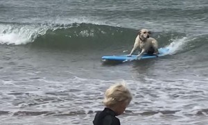 Prodigy Lab Rides Surfboard for the First Time