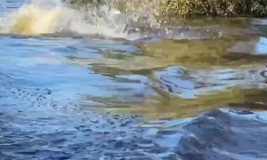 Boat Wake Rocks Paddle Board Rider