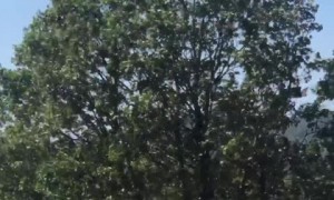 Supertanker drops massive amount of fire prevention in advance of the Glass Fire 