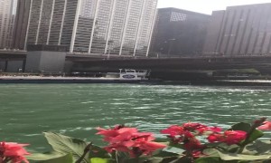 Man Spreads Joy with Bubble Machines